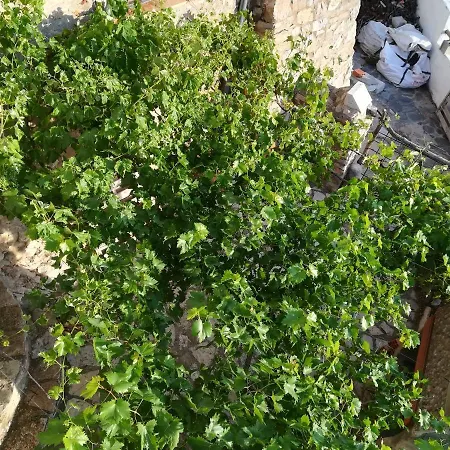 בית נופש Casa Rita *