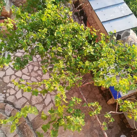 Casa Rita Holiday home